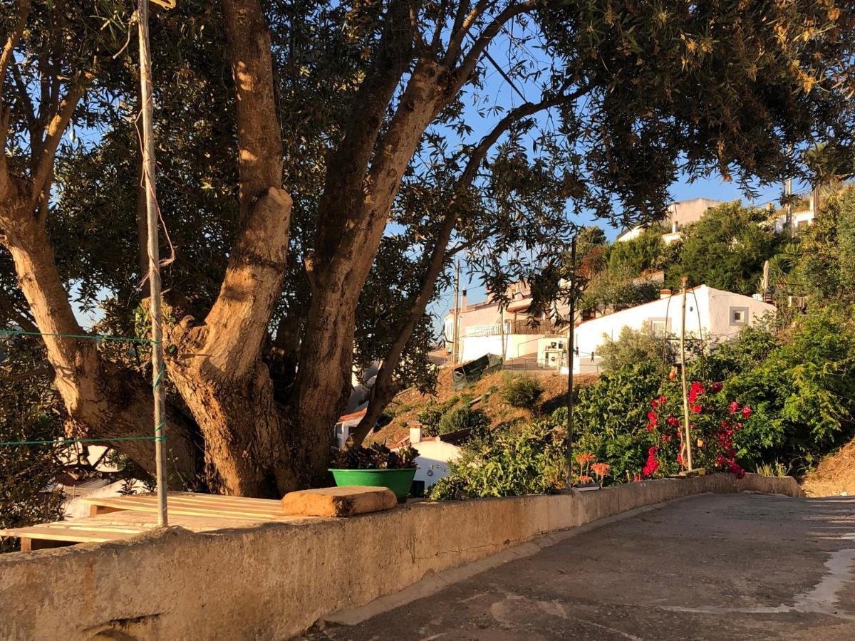 알제주르 Casa Anneli - Relaxing Under The Olive Tree 빌라 외부 사진