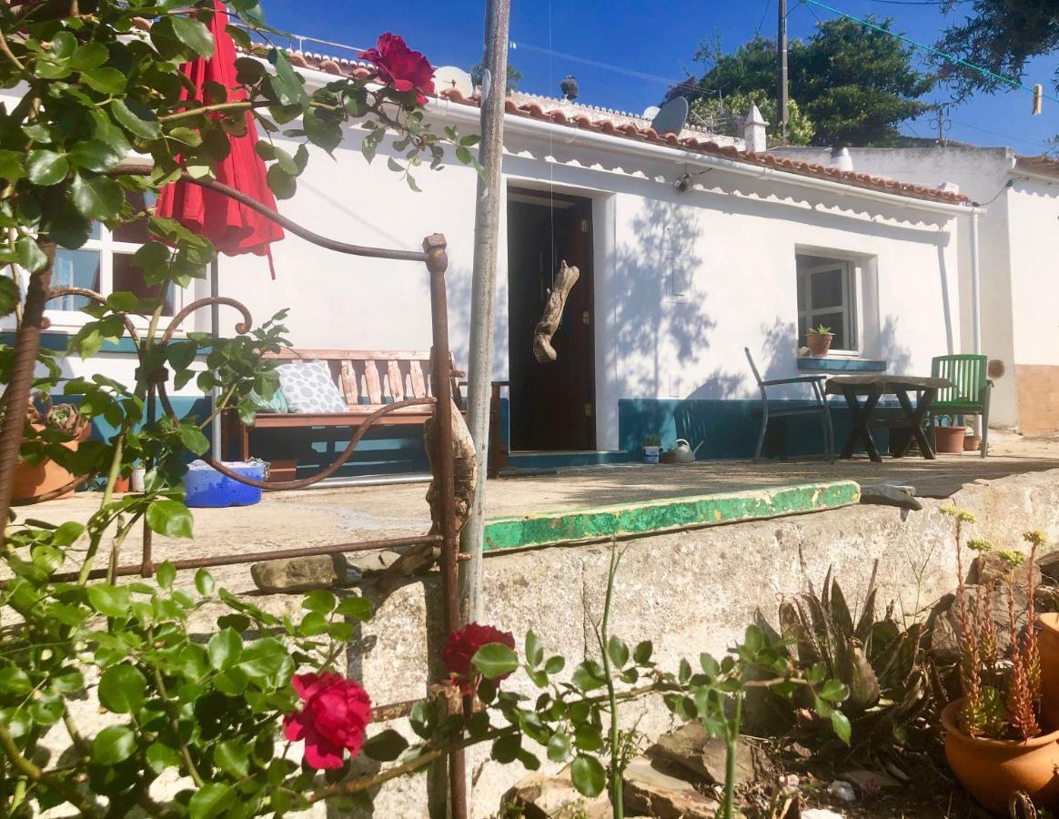 알제주르 Casa Anneli - Relaxing Under The Olive Tree 빌라 외부 사진