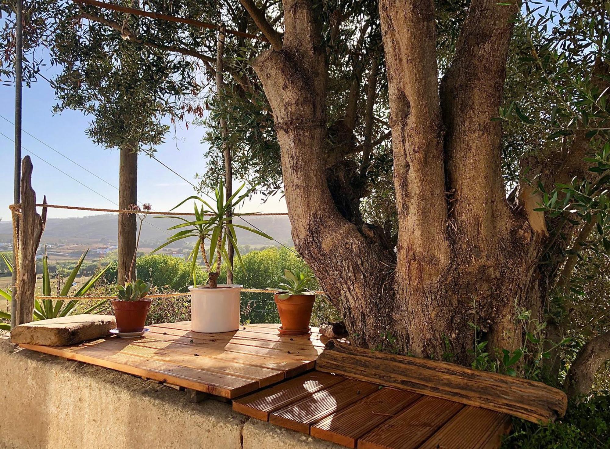 알제주르 Casa Anneli - Relaxing Under The Olive Tree 빌라 외부 사진